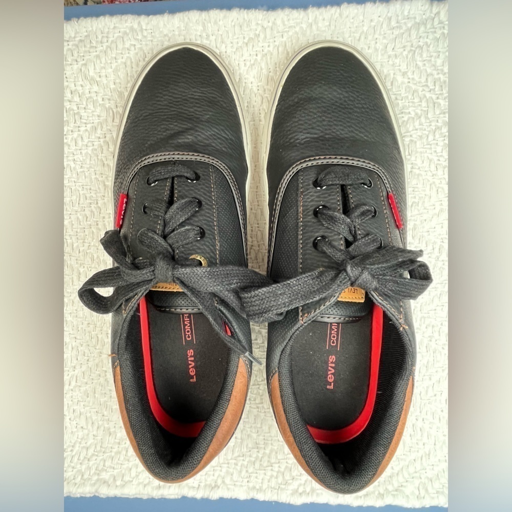 Levi’s Men’s Ethan Nappa Lace Up Sneakers